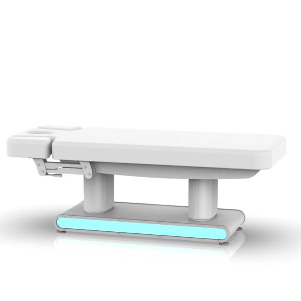 Elektrische Wellnessliege Massageliege Euro 4 Motoren Heizung LED L00242H